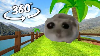 Sad Hamster Meme Chase you But its 360 degree video [upl. by Ahsekal59]