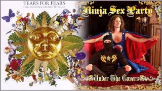 NSP vs Tears For Fears  Everybody Wants To Rule The World Marcies Full Mashup [upl. by Nileak]