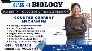 COUNTER CURRENT MECHANISM EXCRETORY PRODUCT AND THEIR REMOVALCLASS 11 cbseboard biology neet [upl. by Kraul]