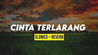 CINTA TERLARANG slowedreverb [upl. by Stephannie251]