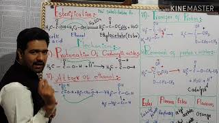 Esterification of carboxylic acids [upl. by Eelirak]