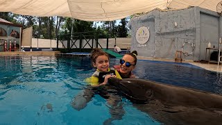 Delfintherapie Kemer  Sofia [upl. by Aleibarg]