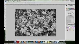 Photoshop tutorial  traditional solarisation technique [upl. by Hourigan]