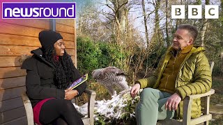 Chris Packham answers YOUR questions  Newsround [upl. by Ydnor]