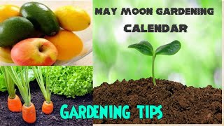 May Moon Gardening Guide [upl. by Ameluz]