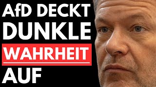 🚨SKANDAL AfD DECKT DUNKLE WAHRHEIT ÜBER HABECK AUF  GRÜNE im PANIKMODUS🚨 [upl. by Oleta]