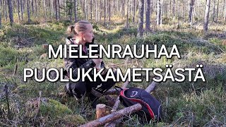 Mielenrauhaa puolukkametsästä [upl. by Tterab]