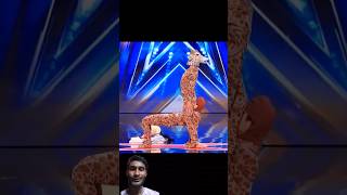 Americas Got Talent Giraffe 🦒 Magic😱😨  Duo SchumacherAGTamericagottalentmagic [upl. by Aivatco886]