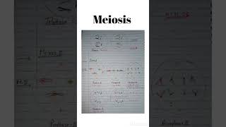 Meiosis  NCERT  Life science [upl. by Ahsiakal936]