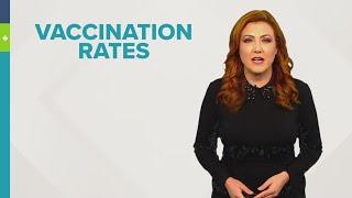 How to calculate vaccination rates [upl. by Macomber]