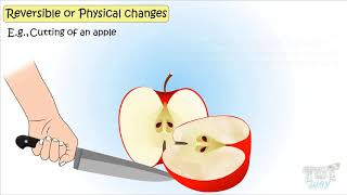 Physical and Chemical Changes Chemistry For Kids  TutWay [upl. by Ophelia]