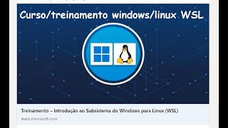 01 Curso Treinamento WSL [upl. by Annait]