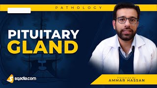 Pituitary Gland  1 Hypopituitarism  Medical Pathology  Video Lecture  VLearning [upl. by Ailel]