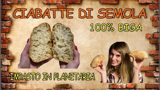 CIABATTE DI SEMOLA 100 BIGA  PANE FATTO IN CASA  IMPASTO IN PLANETARIA [upl. by Jasun905]