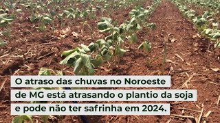 Atraso das chuvas no Noroeste de MG está atrasando o plantio da soja e pode não ter safrinha em 2024 [upl. by Aidahs]