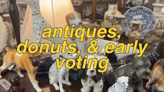 voting donuts antiques amp how much i earned  video diaries [upl. by Lesna]