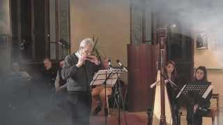 Ave Maria BachGounod duo ArpArmonica [upl. by Dwane811]