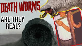 Mongolian Death Worm Everything We Know So Far [upl. by Anissa]