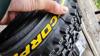 Pirelli Scorpion Race MTB Tubeless Tire Review [upl. by Eelirol]