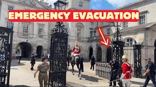 Loud Protest Forces Emergency Horse Evacuation at Horse Guards Parade [upl. by Divadnhoj]