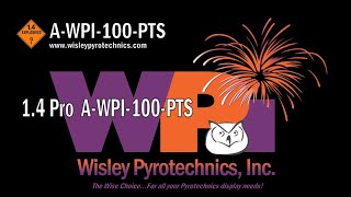 Wisley Pyrotechnics Inc AWPI100PTS Articles of Pyrotechnic 14 Pro Fan Cake [upl. by Aleusnoc]