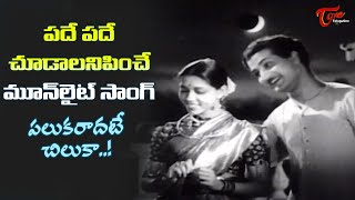 NTR and Janaki Moonlight Song  Palukaradate Chiluka Song  Shavukaru Movie  Old Telugu Songs [upl. by Mccarty441]