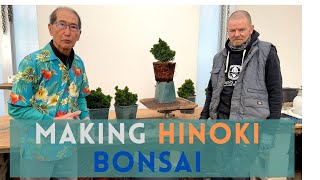 Different ways to Bonsai Hinoki [upl. by Leasia]