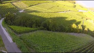 Valais Wine Trail  Savoring Switzerland [upl. by Dewar]