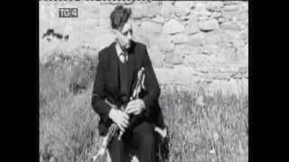 Seán McAloon Uilleann pipes Planxty Davis [upl. by Yalhsa853]