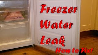 Freezer Water Leak  Complete Solution [upl. by Whitehouse875]