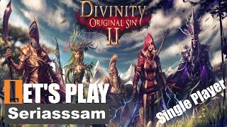 Finally escaping the IslandDivinity Original Sin 2 Gameplay – Part 35  Lets Play Single player [upl. by Atinra]