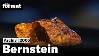 Bernstein Die Geheimnisse des brennenden Steins  Dokumentation von NZZ Format 2005 [upl. by Gwenny]