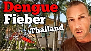 Dengue Fieber Thailand  Meine Erfahrungen mit 🤒 Dengue Fieber [upl. by Ellehcem]