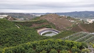 Finca de Mangos en Malaga este [upl. by Oster]