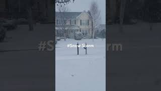 Snow storm  Milwaukee november  2024  usa  wisconsin [upl. by Ecertal]