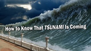 How to Know That TSUNAMI Is Coming  Facts About Tsunami  Warning Sign of Tsunami [upl. by Bernardina749]