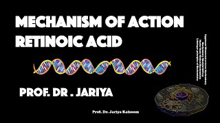 RETINOIC ACID MECHANISM OF ACTION [upl. by Jael]