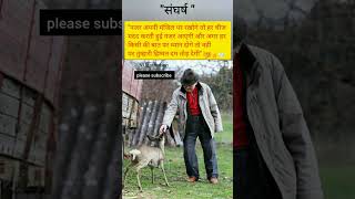 Best Motivational quotes in hindi 2024 💯 shorts viral  NI Motivation [upl. by Anaicilef]