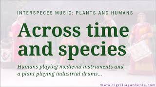 Interspecies Music Across Time and Species [upl. by Finstad]