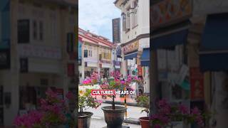 Is Geylang the real Singapore [upl. by Tnaryb]