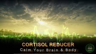 cortisol is not my problem [upl. by Aisan]