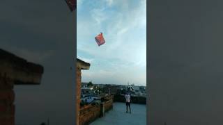 Kite looting new video😂😂 kite looting 🧵🌠✓ shortsfeed kitelooting shortsfeed viralshort kites [upl. by Lallage891]