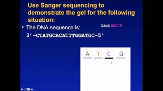 Sanger Sequencing Exercise [upl. by Etac17]