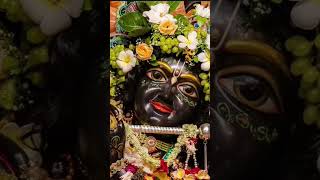 O palan hare 🙏🚩🌹lordkrishna music shorts [upl. by Iorgos]