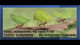 Ds Armando Fraenkel Volgeling Johannes 10110 [upl. by Yaniv]