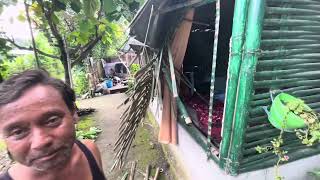 Elephants Destroyed Huts in Beldangi Bhutanese Refugee Camp Nepal  बेलडागी क्याममा हात्ती आतङ्ग [upl. by Ekram501]