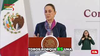 🔊💥¡Sheinbaum quotSoy una protectora de los animalesquot y promete que revisará la tauromaquia [upl. by Enirhtak]