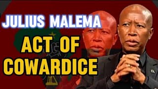 Julius Malema has been cowardice and dishonest to the people of South Africa  LITSEMBA MEDIA [upl. by Naples]