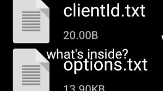 whats inside clientldtxt and optionstxt in minecraft file [upl. by Irelav]