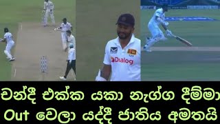 Dimuth Karunaratne livid with Dinesh Chandimal after being run out [upl. by Ormond948]